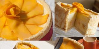 charlotte-a-la-mangue