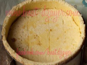 charlotte-mangue-peche-mousse-biscuit-cuillere-1