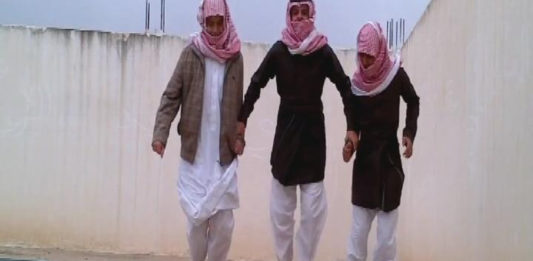 La danse du pingouin un phénomène en Arabie Saoudite ?
