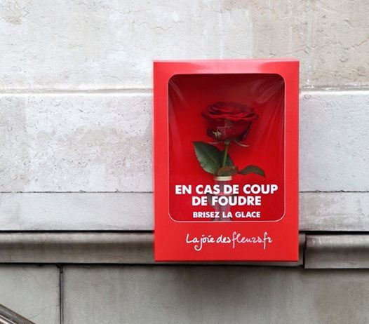 chronique-de-lamia-partie-1